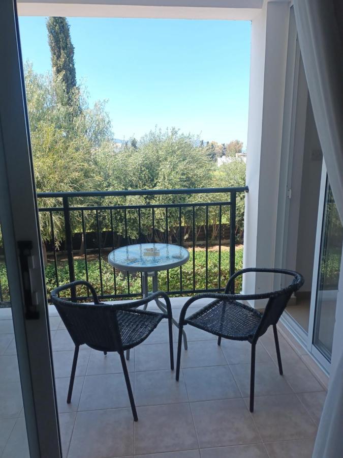 Apartment Oasis Polis Kültér fotó